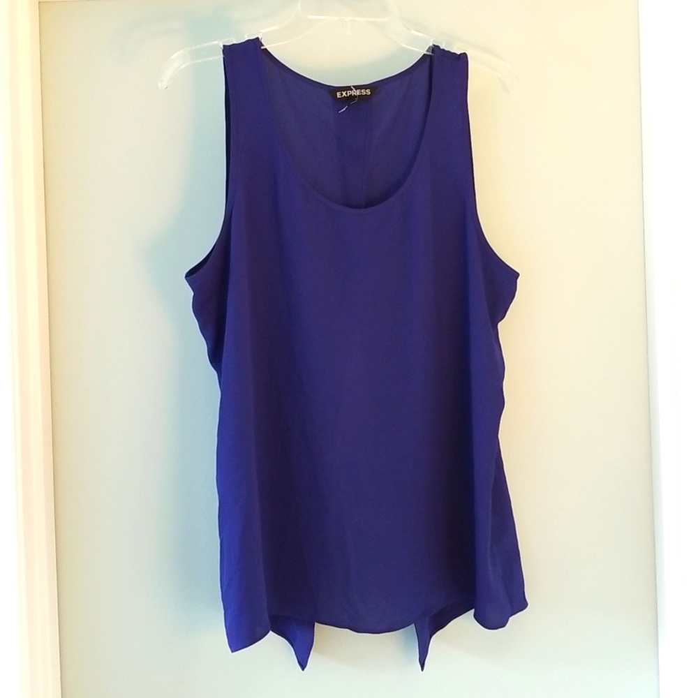Express Womens Sheer Top with Back Slit